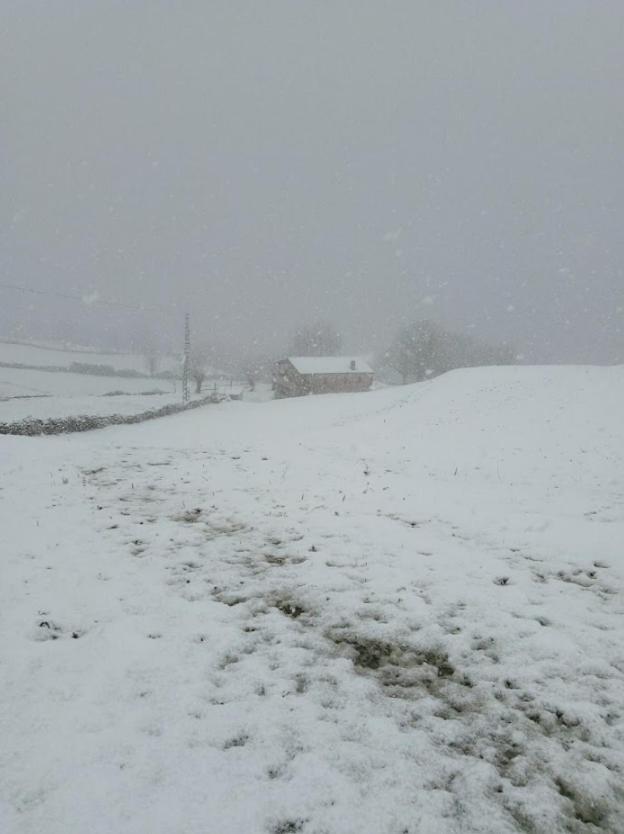 Casa di campagna Pasiega Unica Selaya