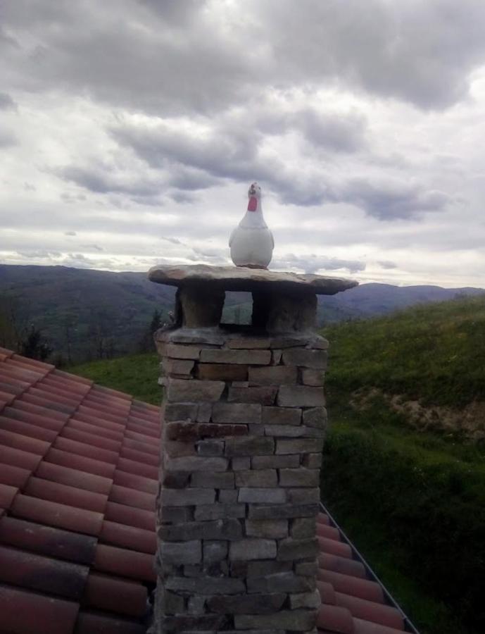 Pasiega Unica
