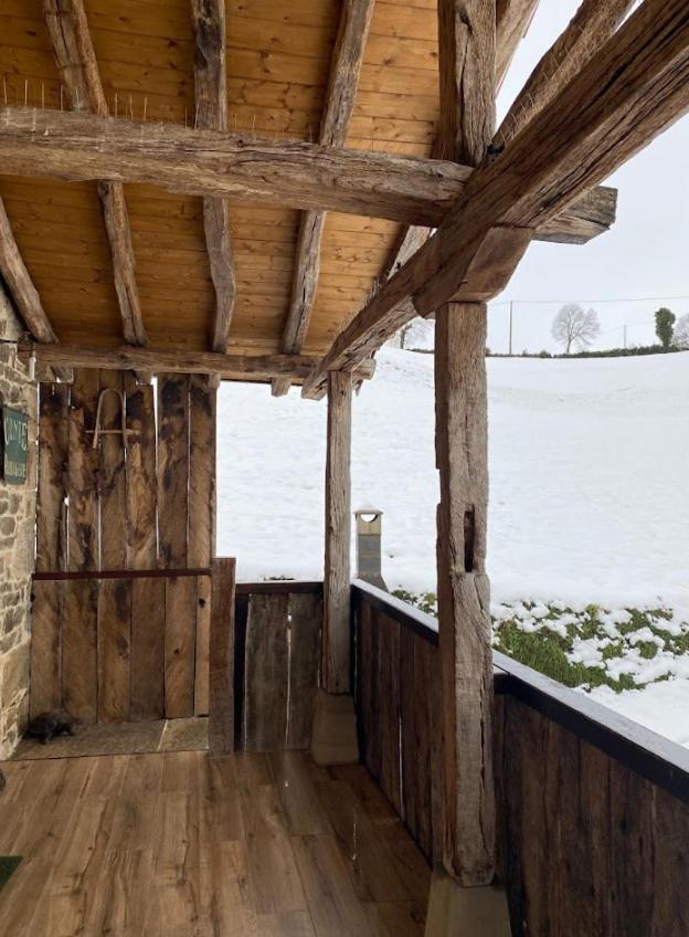 Pasiega Unica Selaya