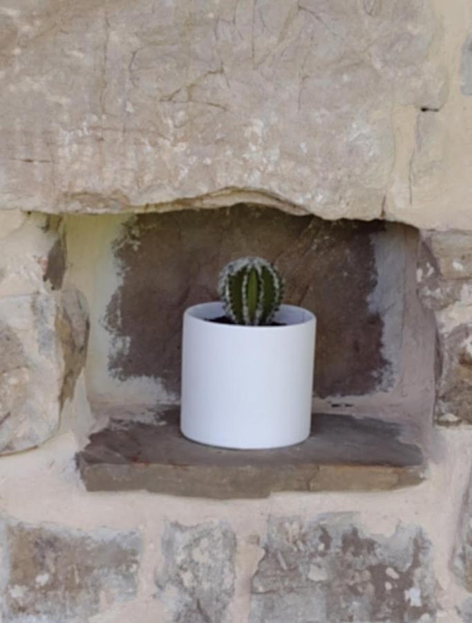 Pasiega Unica Casa di campagna *